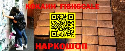 прущие грибы Новозыбков