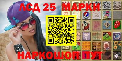 прущие грибы Новозыбков