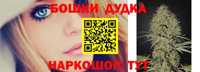 PSILOCYBIN Новодвинск