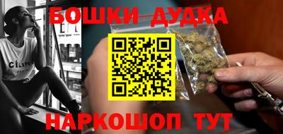 прущие грибы Новозыбков