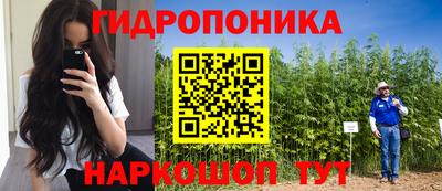 PSILOCYBIN Новодвинск