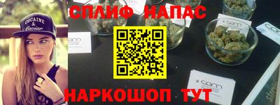 прущие грибы Новозыбков