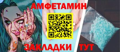 прущие грибы Новозыбков