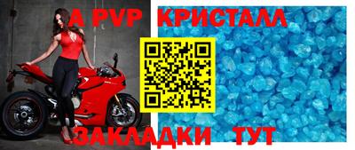 прущие грибы Новозыбков