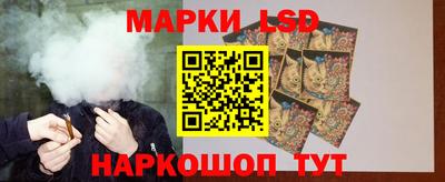 прущие грибы Новозыбков