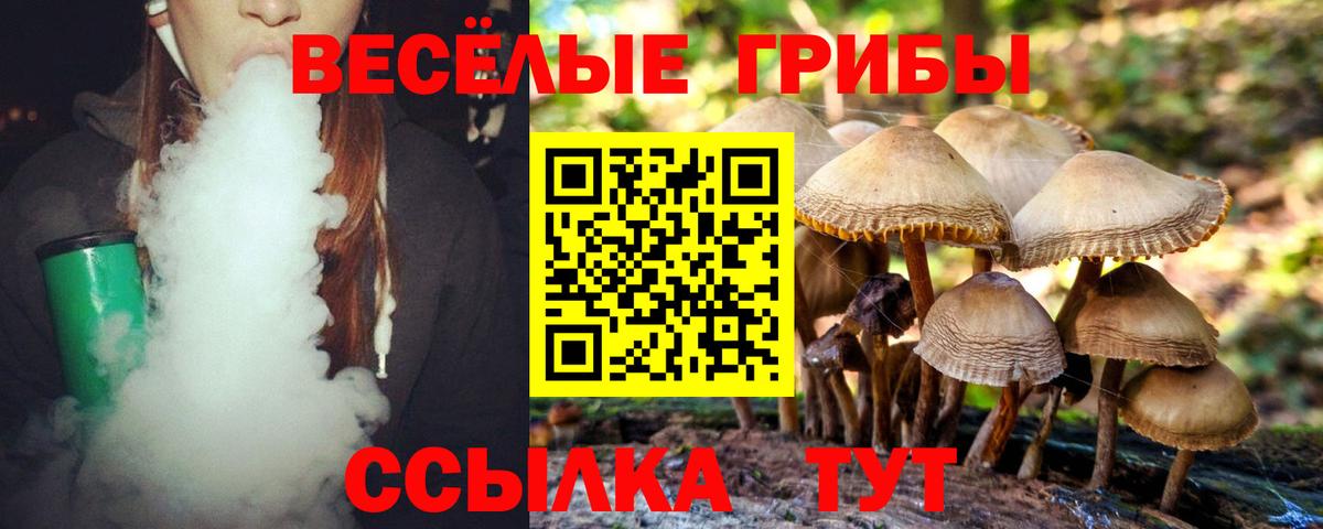 Химки  Галлюциногенные грибы MAGIC MUSHROOMS  Вход с VPN 